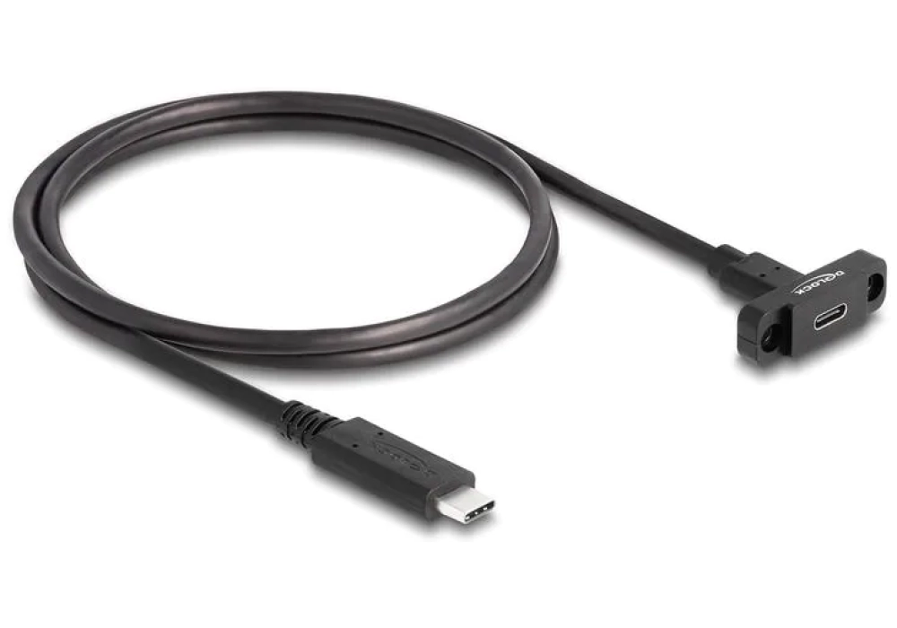 Delock rallonges à encastrer USB C - USB C 1 m