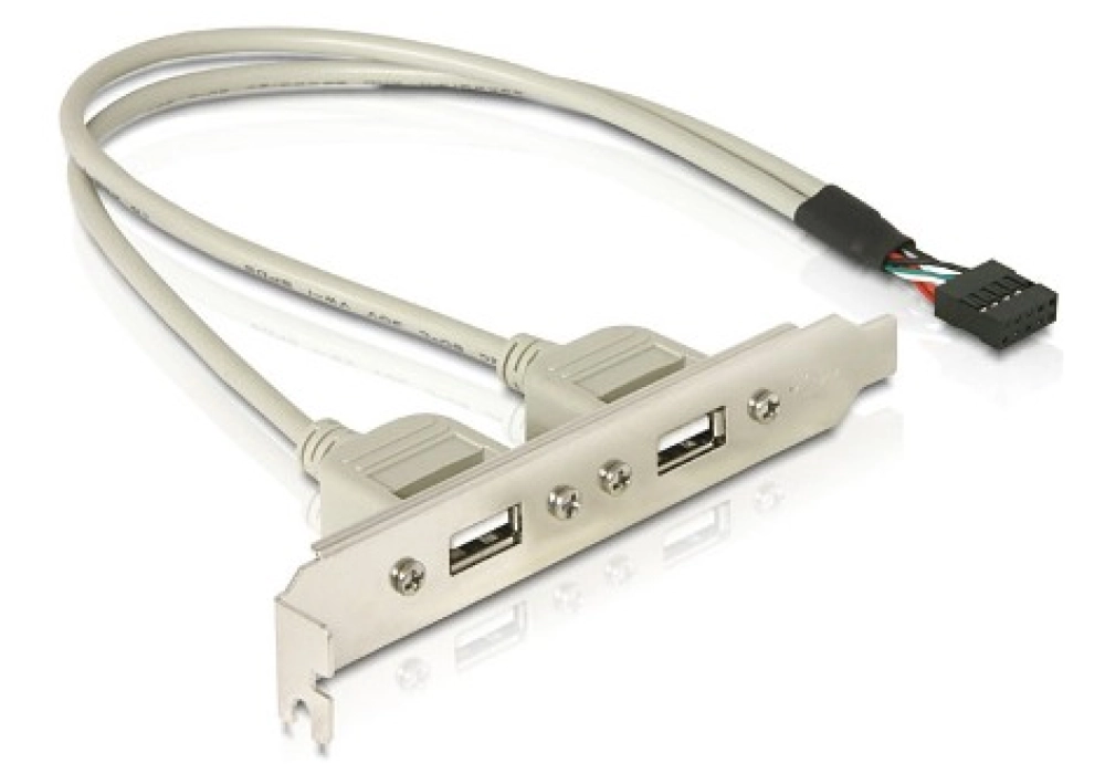 DeLOCK Slot bracket 2 x USB 2.0 (9-pin int.)