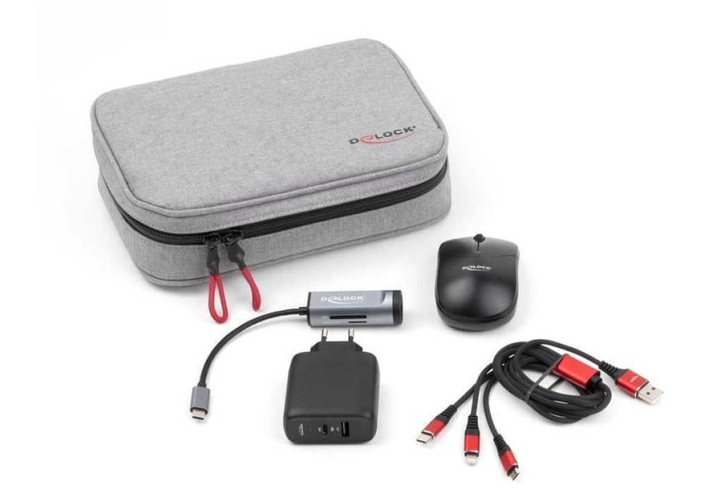 DeLOCK Travel Kit IV Business Edition