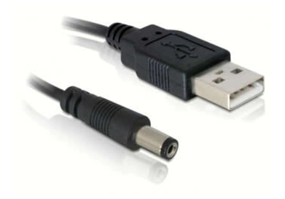 DeLOCK USB 2.0 / DC Jack 5V Adapter