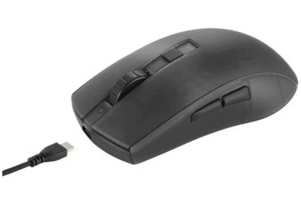 DELTACO Souris de gaming DM320 RGB Noir