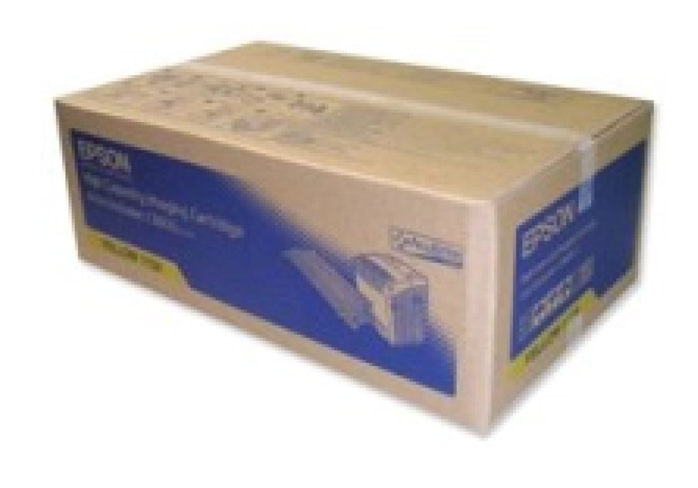 Epson Toner Cartridge - AcuLaser C3900 - Black (Double Pack)