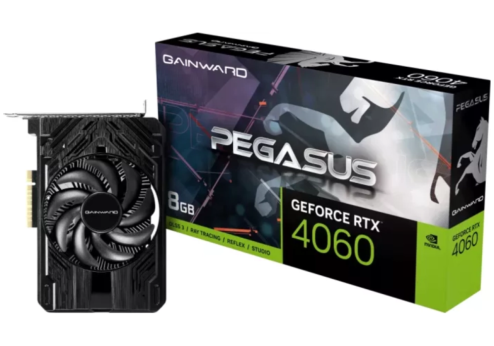 Gainward GeForce RTX 4060 Pegasus