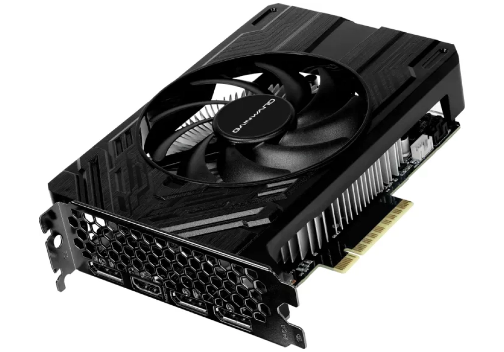 Gainward GeForce RTX 4060 Pegasus