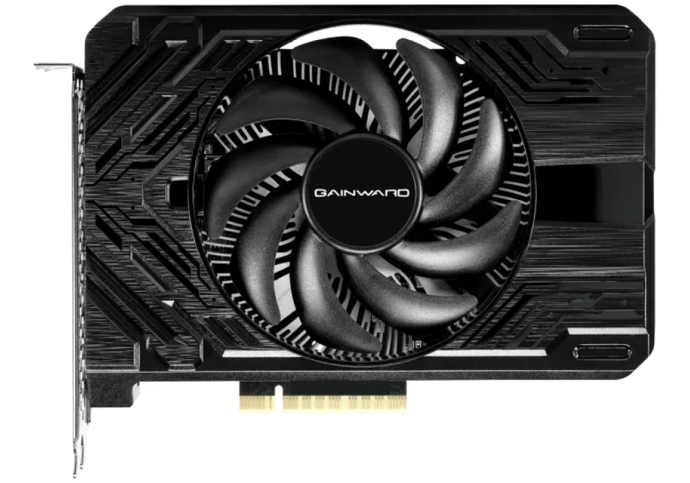 Gainward GeForce RTX 4060 Pegasus