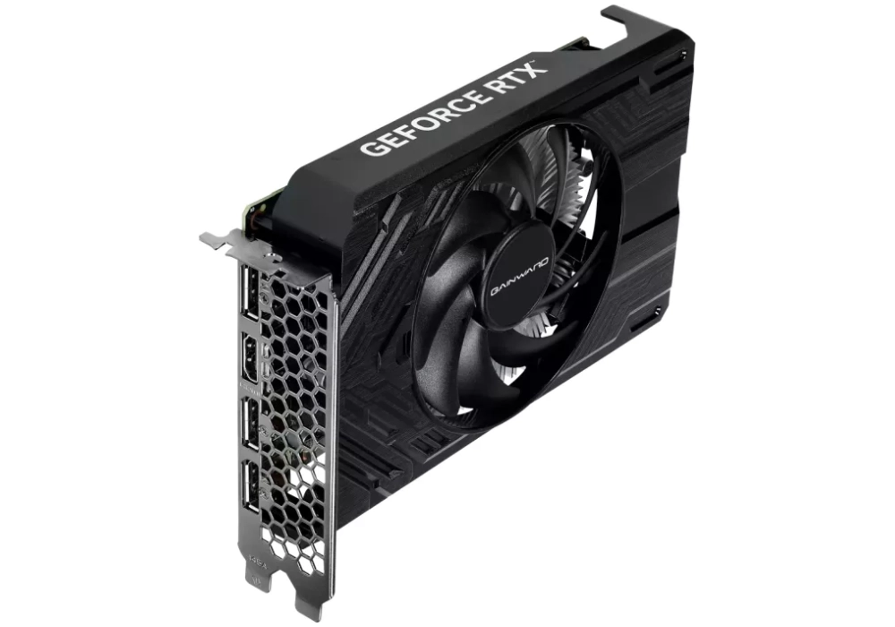 Gainward GeForce RTX 4060 Pegasus