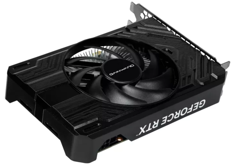 Gainward GeForce RTX 4060 Pegasus