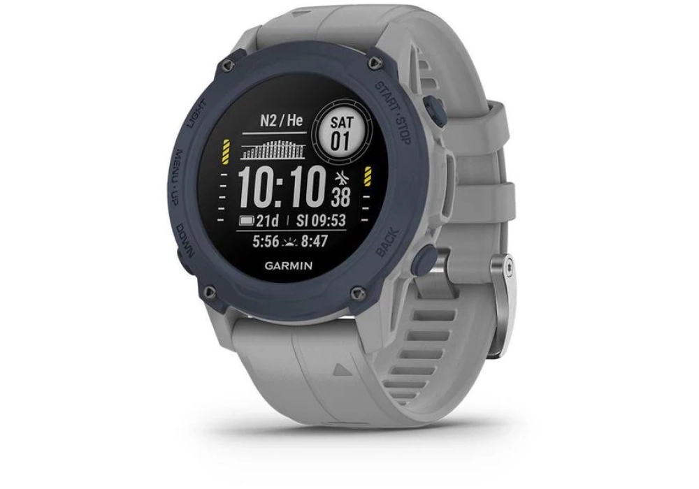 GARMIN Montre de sport Descent G1 Gris clair/Gris