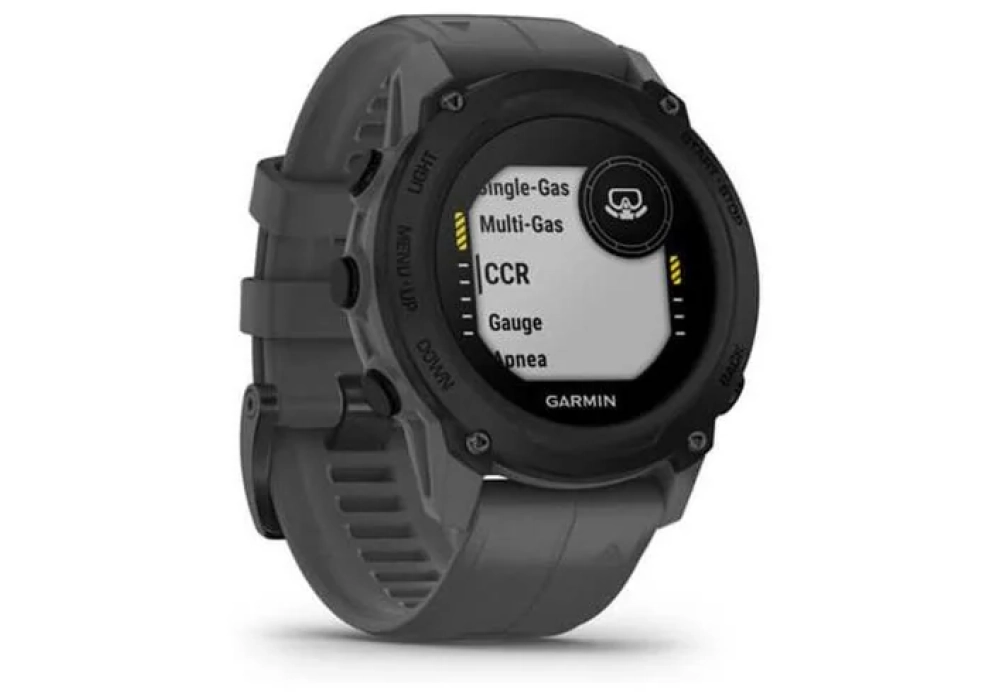 GARMIN Montre de sport Descent G1 Gris/Anthracite