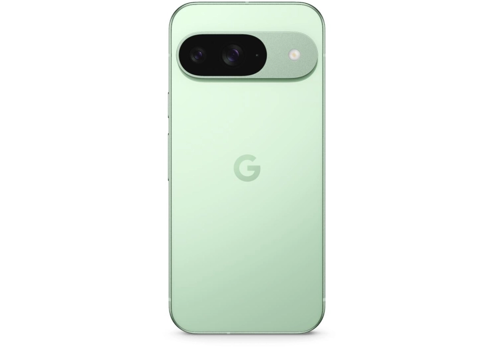 Google Pixel 9 256 GB Wintergreen