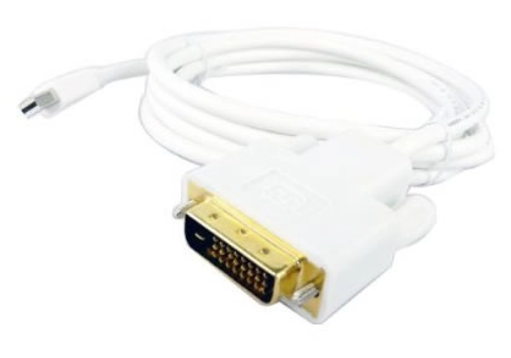 HDGear mini DisplayPort (male) / DVI Cable (male) - 1.0 m