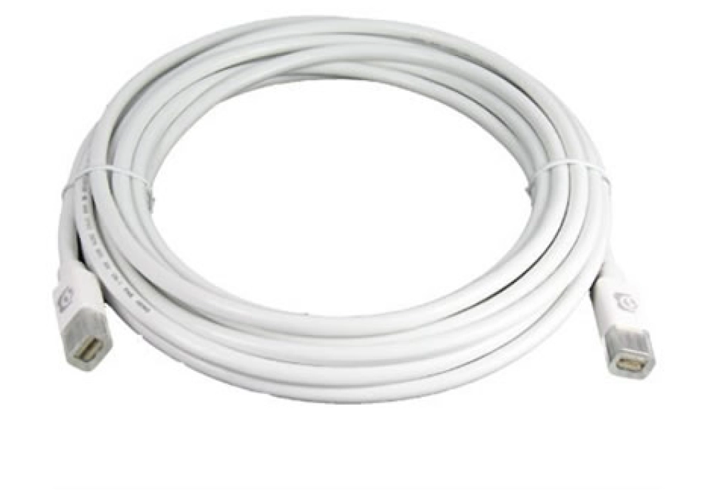 HDGear mini DisplayPort (male) / mini DisplayPort Cable (male) - 1.0 m