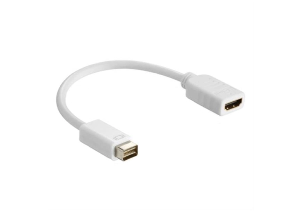 HDGear Mini-DVI - HDMI Adapter (White)