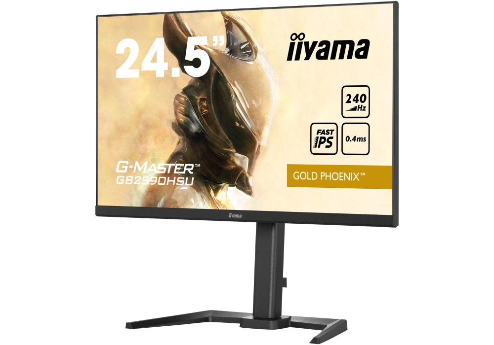 iiyama G-MASTER GB2590 hSU-B5