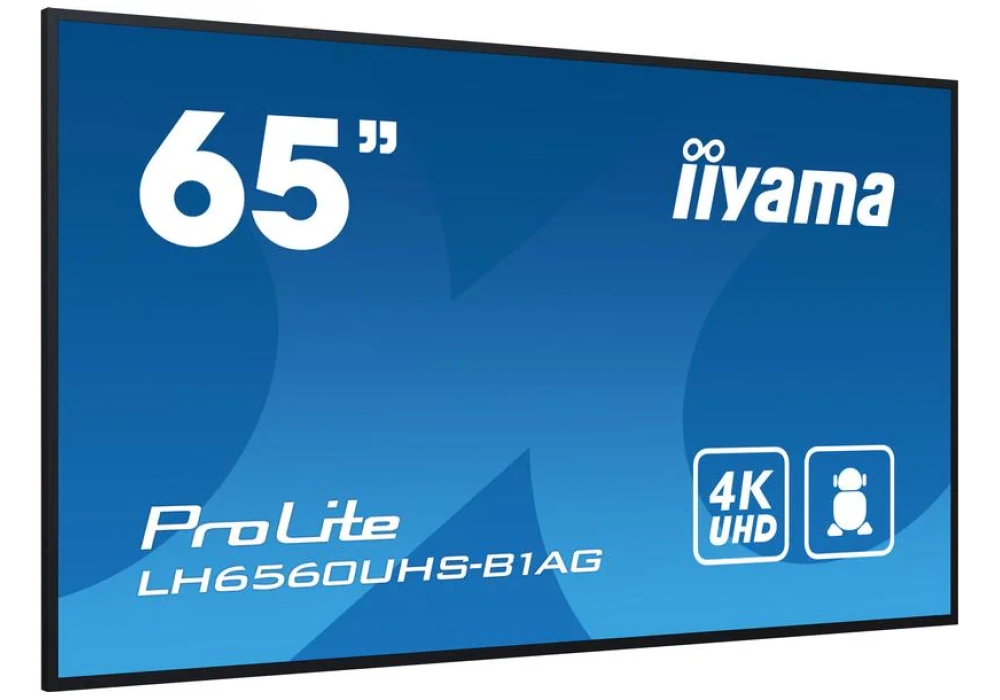 iiyama ProLite LH6560UHS-B1AG