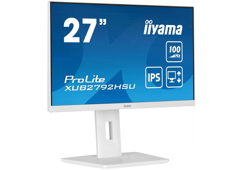 iiyama ProLite XUB2792HSU-W6