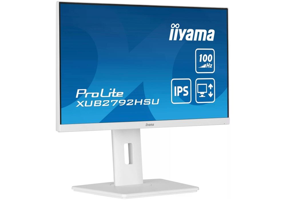 iiyama ProLite XUB2792HSU-W6