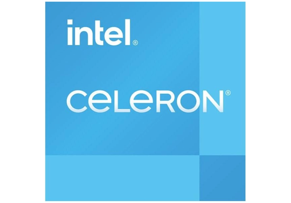 Intel Celeron G6900