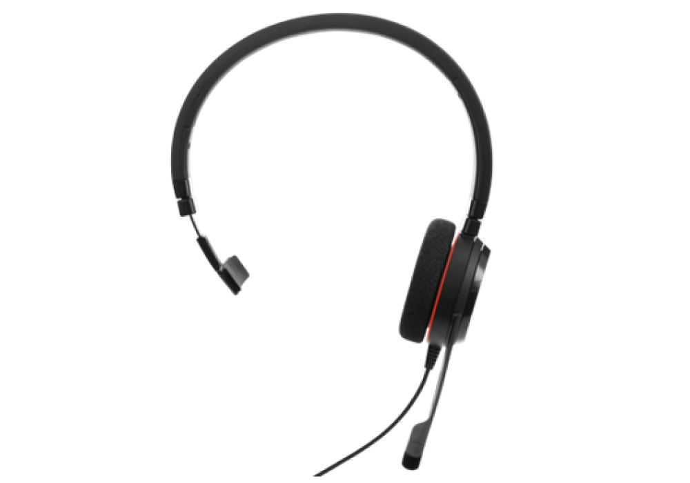 Jabra Evolve 20 Mono USB-A MS (Black)