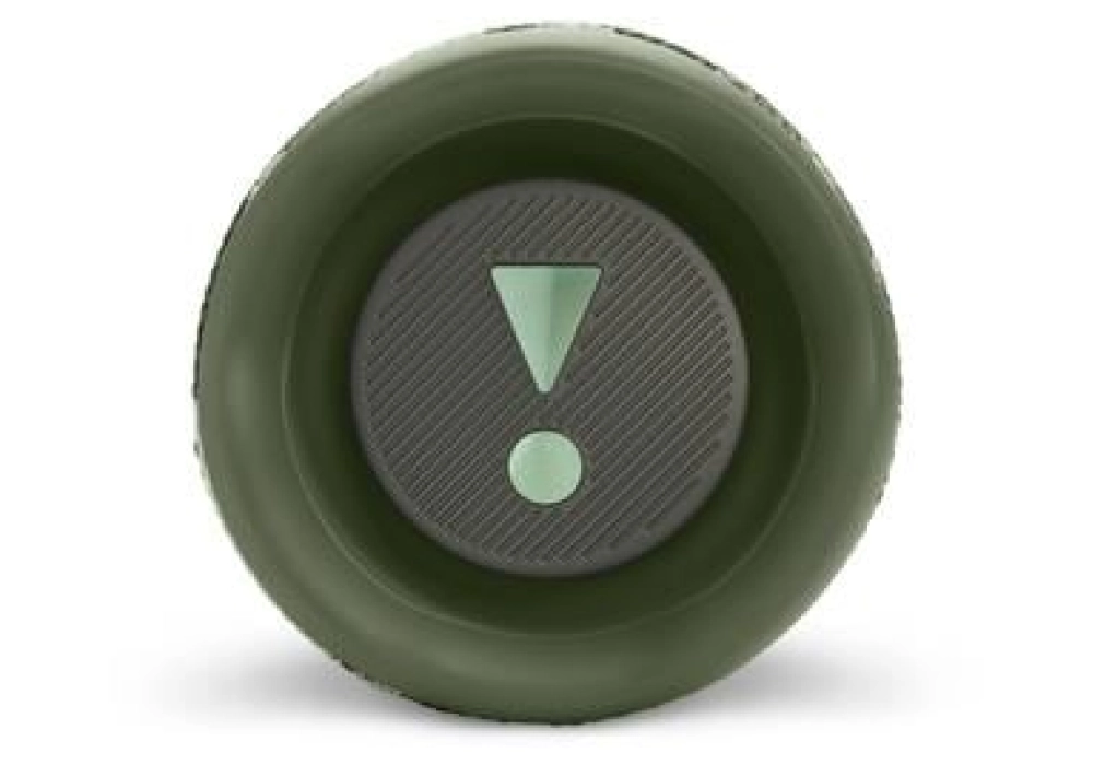 JBL Flip 6 (Camouflage)