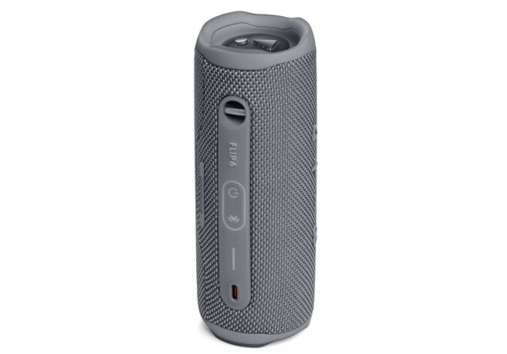 JBL Flip 6 (Gris)