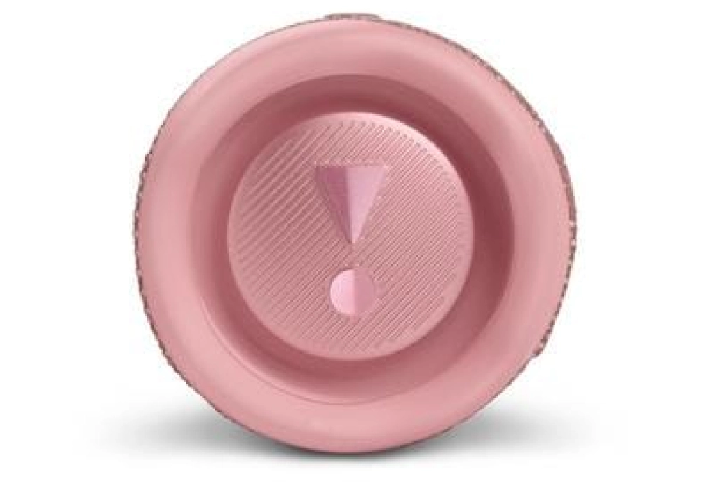 JBL Flip 6 (Rose)