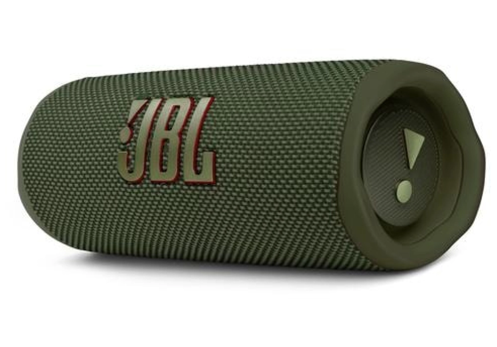 JBL Flip 6 (Vert)