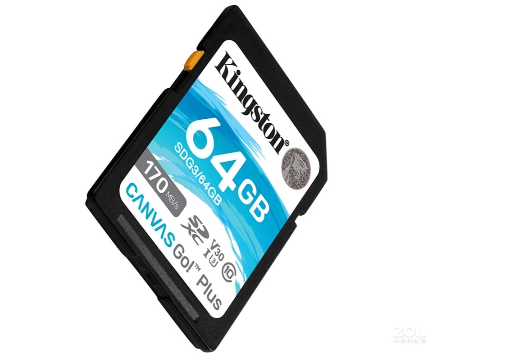 Kingston Canvas Go! Plus SDHC Class 10 UHS-I Card - 64 GB