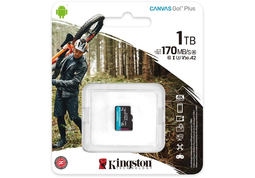 Kingston Carte microSDXC Canvas Go! Plus 1 TB sans adaptateur