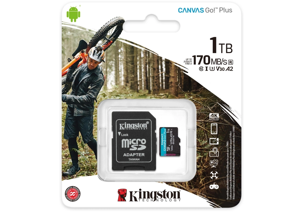 Kingston Carte microSDXC Canvas Go! Plus 1 TB