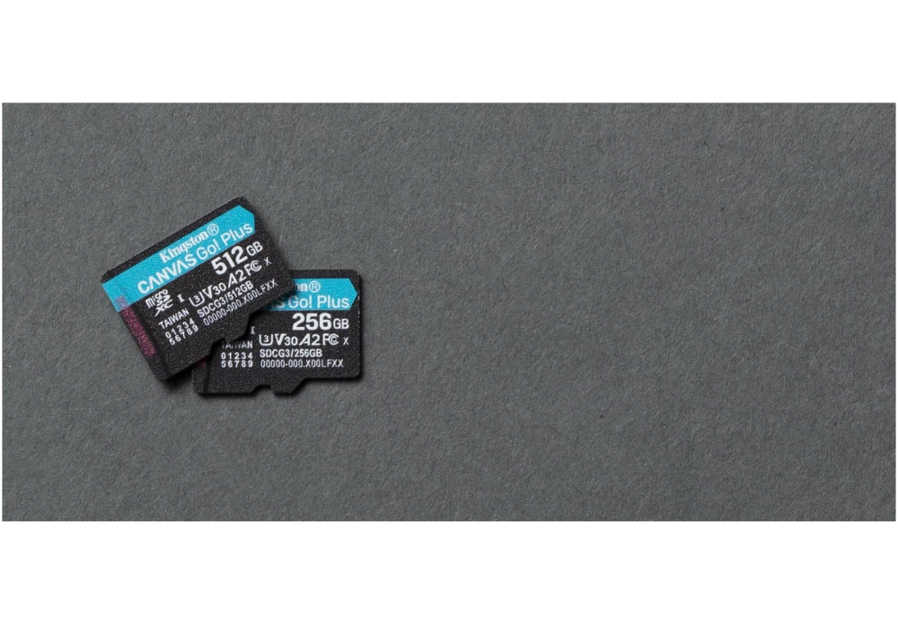 Kingston Carte microSDXC Canvas Go! Plus 256 GB