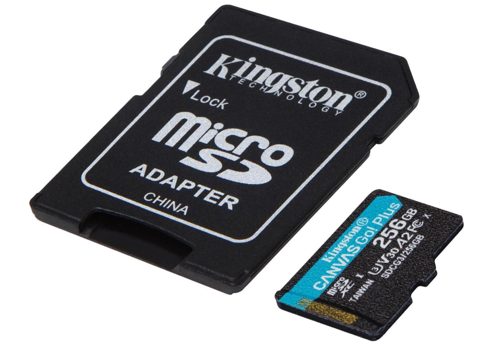 Kingston Carte microSDXC Canvas Go! Plus 256 GB