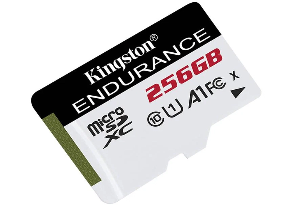 Kingston Carte microSDXC High Endurance 256 GB