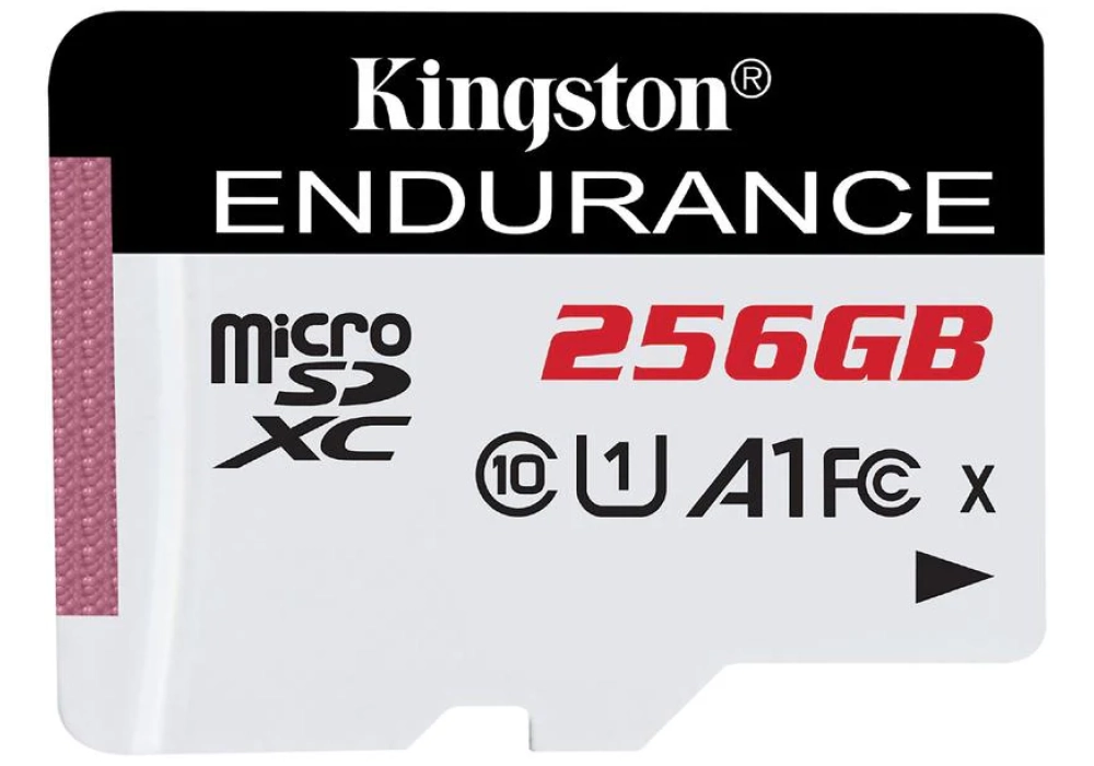 Kingston Carte microSDXC High Endurance 256 GB