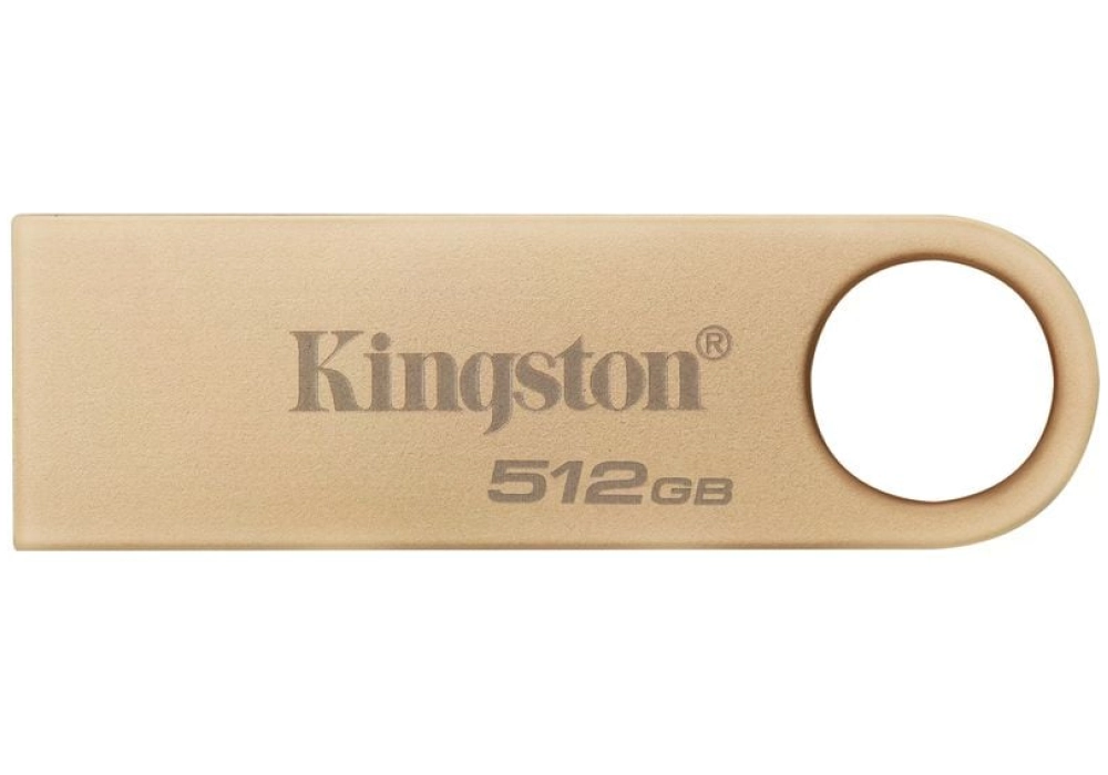 Kingston Clé USB DataTraveler SE9 G3 512 GB