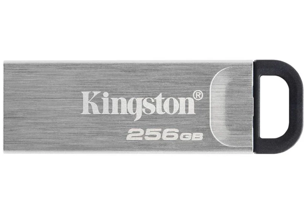 Kingston DataTraveler Kyson 256 GB