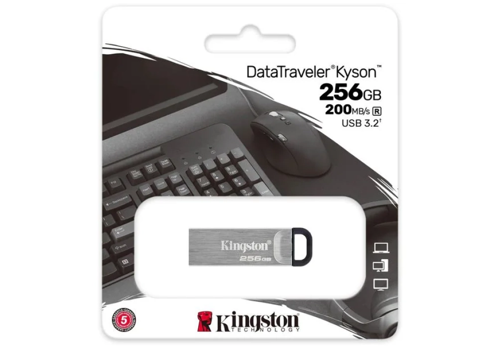 Kingston DataTraveler Kyson 256 GB