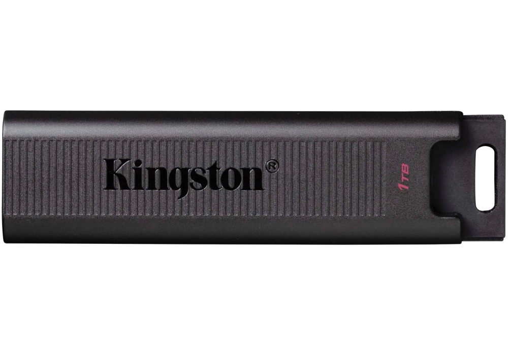 Kingston DataTraveler Max - 1 TB