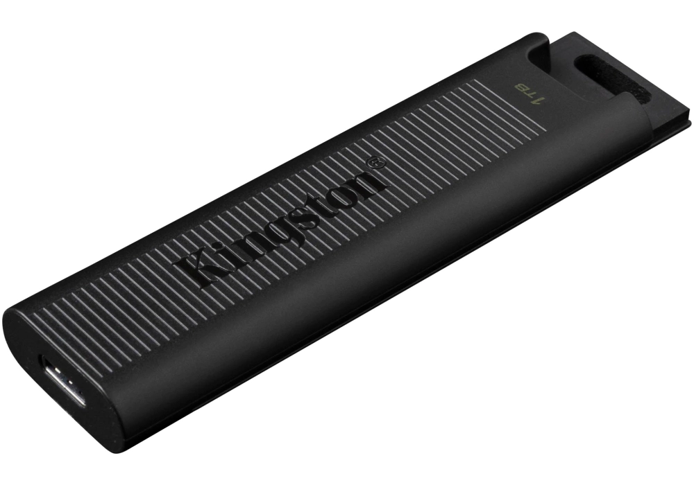 Kingston DataTraveler Max - 1 TB