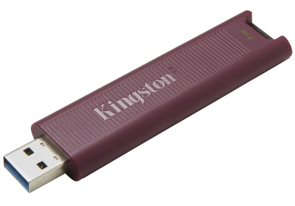 Kingston DataTraveler Max - 1 TB