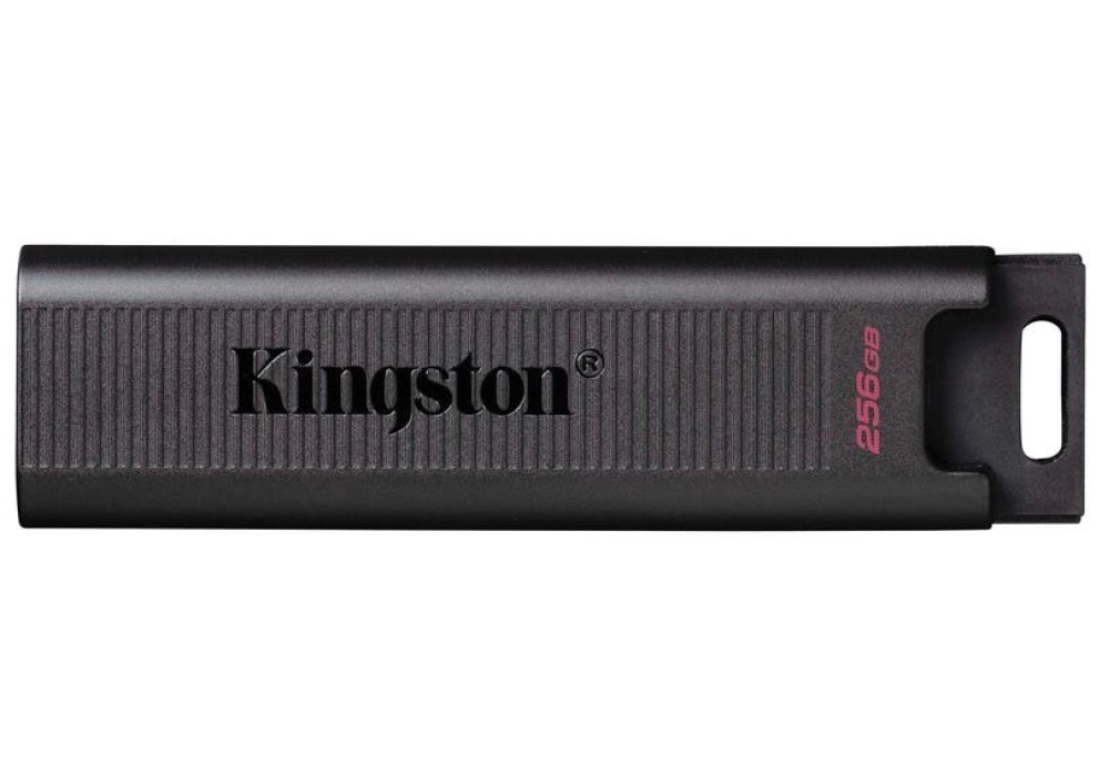 Kingston DataTraveler Max - 256 GB