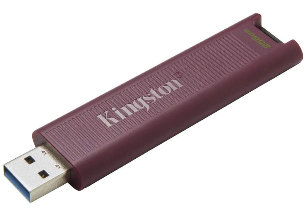 Kingston DataTraveler Max - 256 GB