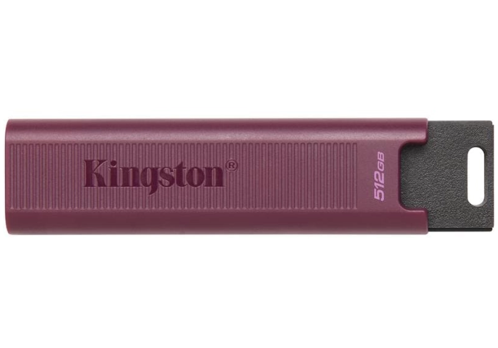 Kingston DataTraveler Max - 512 GB