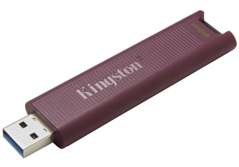 Kingston DataTraveler Max - 512 GB