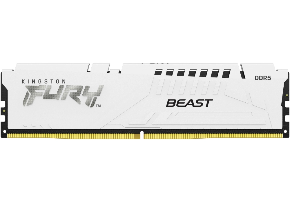 Kingston DDR5-RAM FURY Beast Blanc 6000 MHz 2x 16 GB