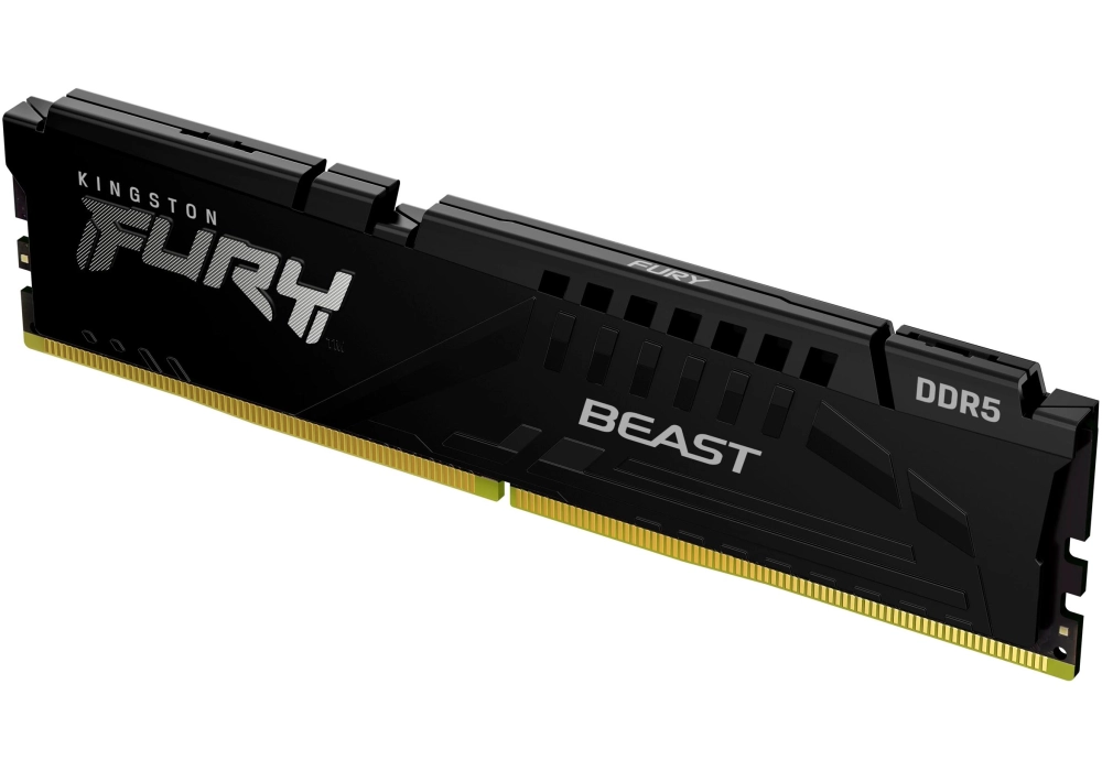 Kingston FURY Beast DDR5-RAM 6000 MHz 1x 16 GB