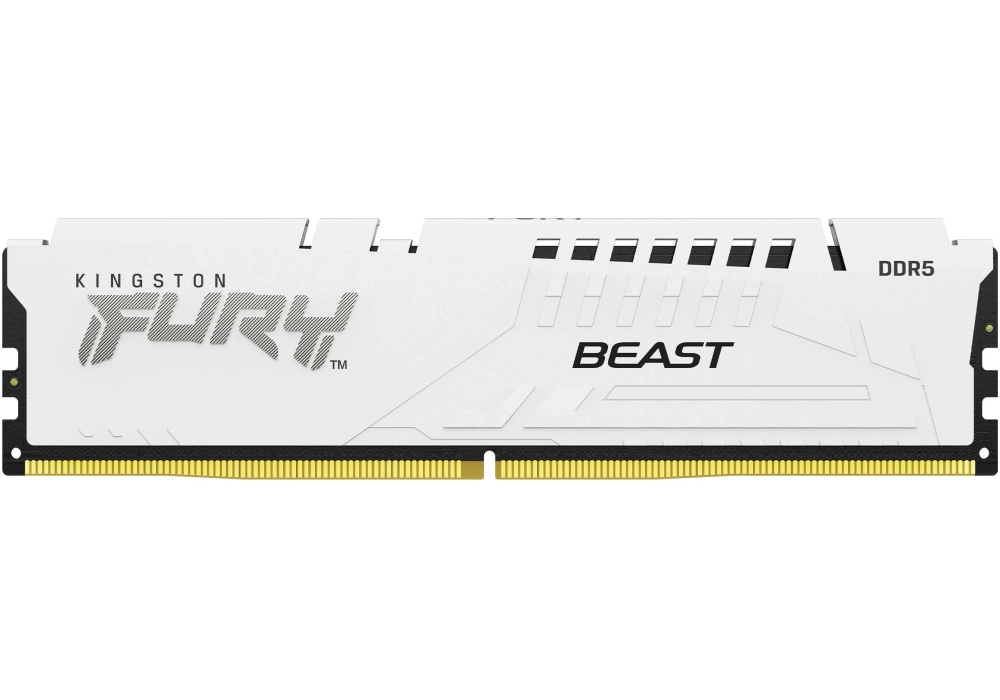 Kingston FURY Beast DDR5-RAM Blanc 4533 MHz 1x 16 GB