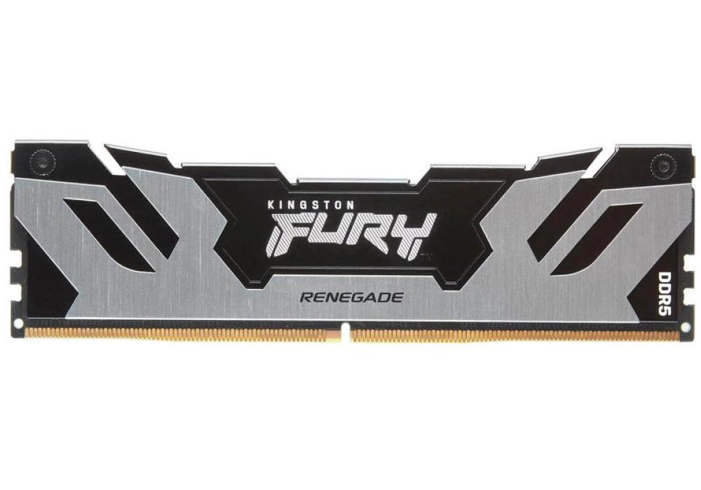 Kingston FURY Renegade DDR5-6000 - 24GB (CL32)