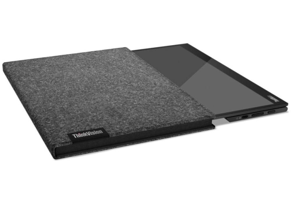 Lenovo ThinkVision M14d