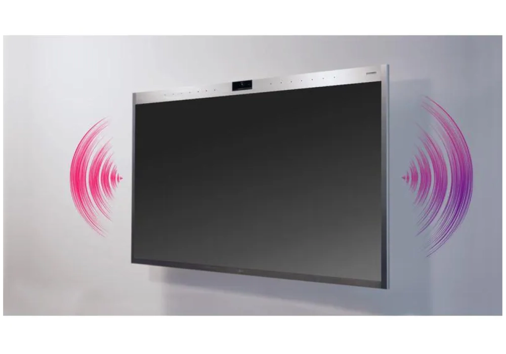 LG Écran tactile 55CT5WJ-B In-Cell 55"